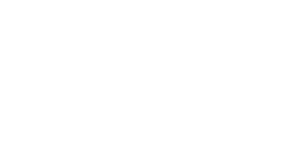 debrynellc_logosite